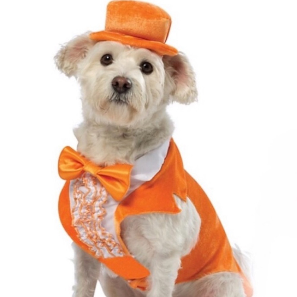 Dumb and Dumber Lloyd Halloween dog costume tux and hat - Rare